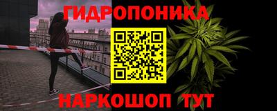 гашик Рязань