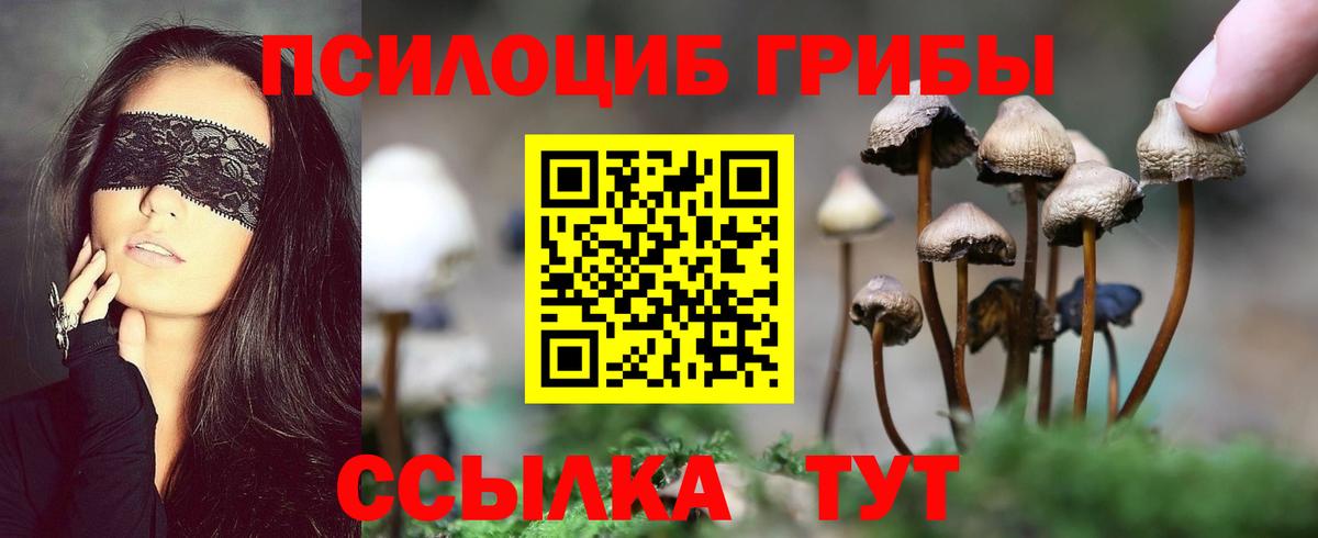 Псилоцибиновые грибы Psilocybine cubensis  Вход с VPN  цены   Сарапул 