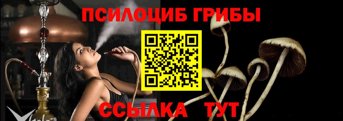Галлюциногенные грибы GOLDEN TEACHER Сарапул